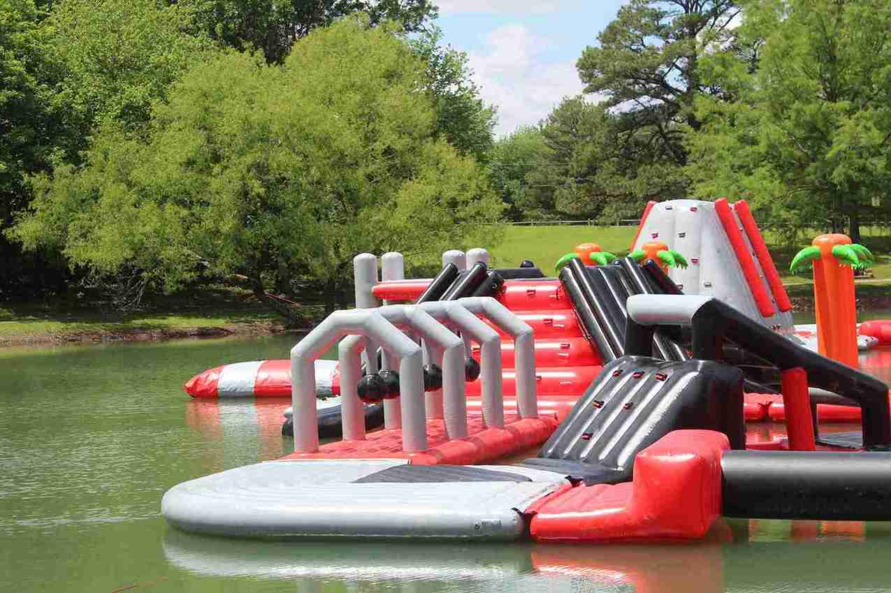 Photo Of The swinger